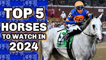 Top 5 Horses To Watch In 2024