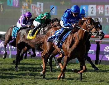 Top 5 Maine Racebooks For Breeders Cup Betting