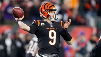 Top 5 Ohio Sports Betting Sites For Browns vs Bengals Betting