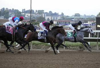 Top 5 Oregon Racebooks For Breeders Cup Betting