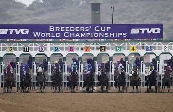 Top 5 Rhode Island Racebooks For Breeders Cup Betting