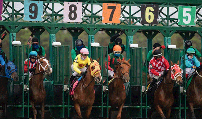 Top American Horse Racing Events to Look Out for Every Year