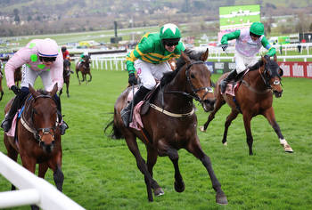 Top Betting Tips Ahead Of Day One Of The Punchestown Festival