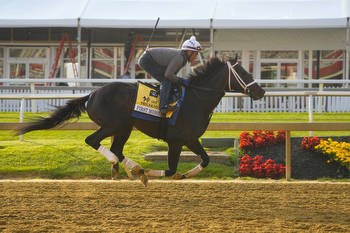 Top contending horse scratched from the Preakness before Triple Crown race