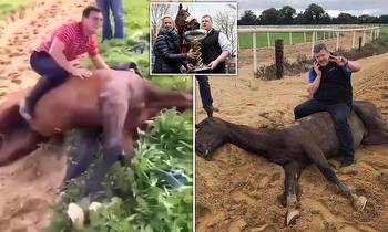 Top figures from the world of racing pose grotesquely on the corpses of thoroughbreds