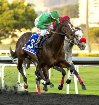 Top Harbor Continues Consistent Form In Oakland Stakes
