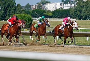 Top Horse Races in the World to Bet On