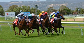 Top horse racing live data companies merge