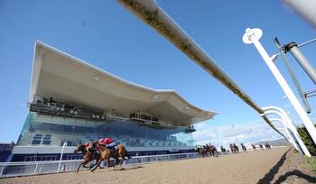 Top Pedigree comes up trumps on classy card at Dundalk Stadium