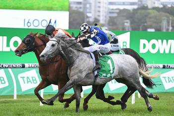 Top Ranked out of Cox Plate