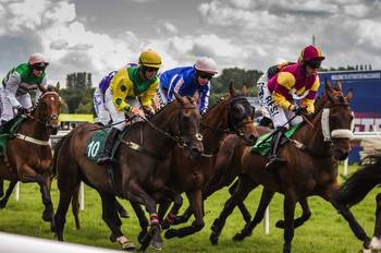 Top Resources for Acquiring UK Horse Racing Data