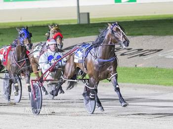 Tough draw for Kiwi pacer in Breeders Crown Final