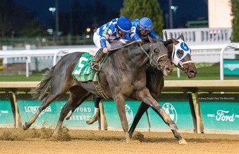 Trademark Gets His Nose Down To Win G2 Clark