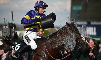 Tragedy At The Grand National As Dark Raven Becomes The SECOND Horse To Die At Aintree In Fall At Hurdle