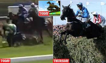 Tragedy at the Grand National as three horses die