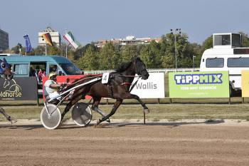 Trainer and owner team for two stakes wins in Hungary