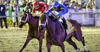 Trainer Brad Cox places three horses in Kentucky Derby qualifying stakes races at Fair Grounds