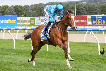 Trainer bullish on long shots chances in the Victoria Derby