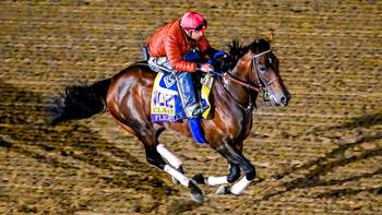 Trainer John Sadler compares superstar Flightline to LeBron James ahead of Breeders Cup