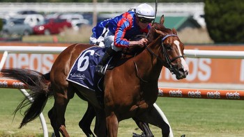 Trainer Mike Moroney with two Australian Guineas hopes