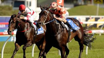 Trainer Peter Moody ‘would have bought own Everest slot' in Black Caviar era