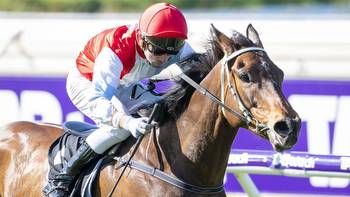 Trainer Rhys Radford sets the bar high for Railway Stakes runner-up Comfort Me at Ascot carnival