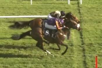 Trainer's freak prediction comes true as two of his horses win the SAME race in what’s believed to be historic dead-heat
