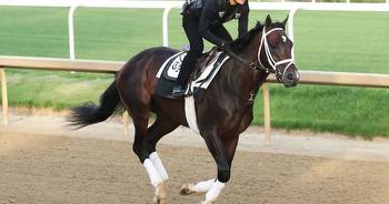 Trainers react to draw for 149th Kentucky Derby