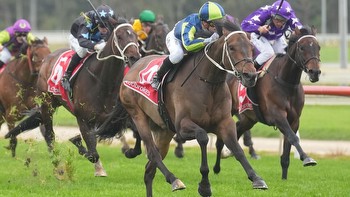 Trainers Trent Busuttin and Natalie Young to run Flash Aah and Uncle Bryn in Cranbourne Cup