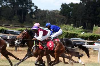 Treasury exempts horse racing from steep betting taxes
