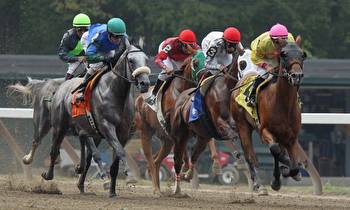 Trends To Keep in Mind When Betting on the Kentucky Derby