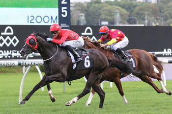 Trio of syndicates dreaming of The Everest