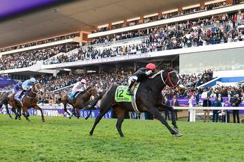 Trip Of Fortune making the pace in Equus Horse of the Year race