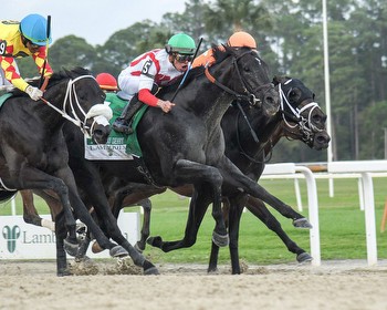 Triple Crown: Domestic Product wins betless Tampa Bay Derby * The Racing Biz