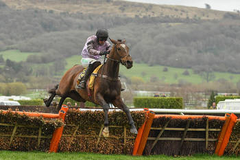 Triumph Hurdle Entries: Lossiemouth the star name of 59 left in Juvenile showpiece