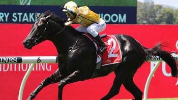 Tulloch Lodge colt Red Resistance to stay unbeaten in Todman Stakes