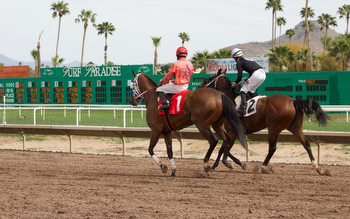 Turf Paradise agrees to pay $150,000 in fees