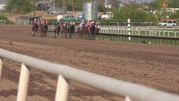 Turf Paradise avoids shutdown, will simulcast races for wagering
