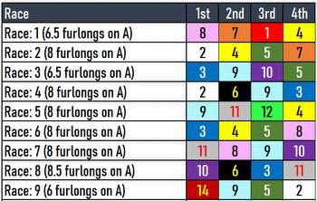 Turfway Park Forgotten Kentucky Derby Prep: Battaglia Analysis