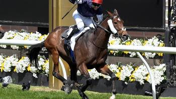 Twilight Payment looks for 2nd straight win in Melbourne Cup