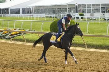 TwinSpires Preakness Stakes Bonus Code Gets You $200 in Sign-on Rewards