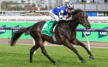 Two Cox Plate hopes for leading yard