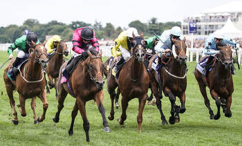 Two tips for Ascot’s Shergar Cup meeting