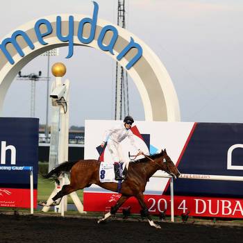 UAE Derby 2014 Results: Winner, Payouts and Order of Finish