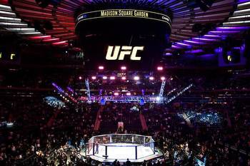 UFC 281: What to expect?