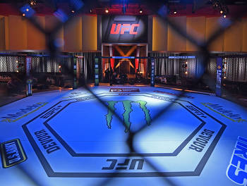 UFC Fight Night: Njokuani vs Rodrigues Picks and Predictions