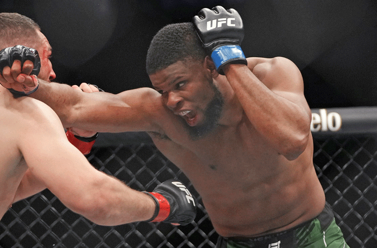 UFC Fight Night: Nzechukwu vs Cutelaba Picks and Predictions