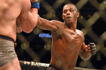 UFC Fight Night: Santos vs Hill Picks and Predictions