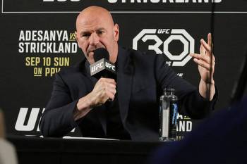 UFC's Dana White praises 'Michael Jordan of the business world' WWE's Vince McMahon