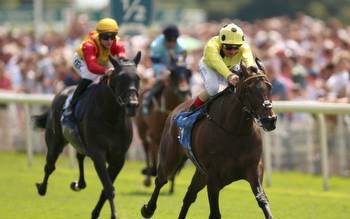 UK import heads odds in the Zipping Classic